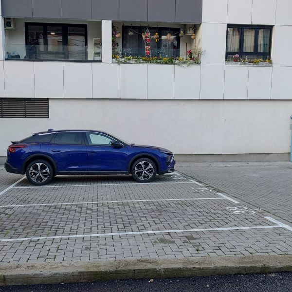 IMG_20251210_150241265_HDR (1)